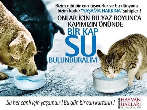 SINIRSIZPatiler's tweet photo. #birkap su hayat kurtarır. Su kaplarını her gün taze suyla dolduralım. https://t.co/PL3eRJLvhW