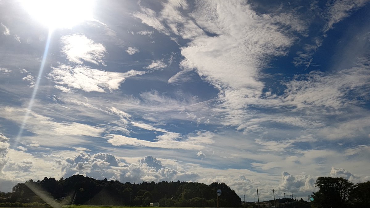 snow60168788's tweet photo. 夏。というより、秋の空っぽいな。
#空のある風景  
#今日の一枚 https://t.co/X2o9jpHaZ2