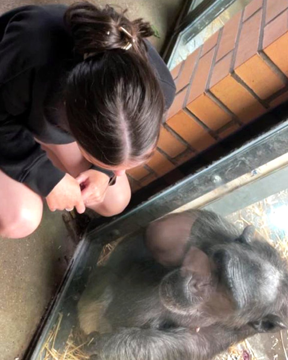 We recently fulfilled one of Abi's wishes by sending Abi and family to Monkey World! 🦧 Another wonderful wish delivered, we're so glad it was a lovely day out to see some amazing apes up close 💜