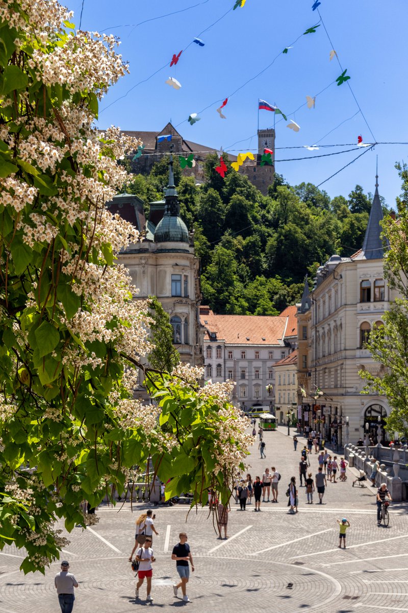 NuovoFaceMag's tweet photo. #Lubiana è la miglior “City Break 2023” •

È storia, cultura, sport: la capitale della #Slovenia è la destinazione ideale per soggiorni brevi in Europa. E con #LjubljanaCard, è anche conveniente. #visitljubljana #ljubljana @visitljubljana 
 
👉 https://t.co/w9OYaO9tqV https://t.co/XTdcmMo4sC