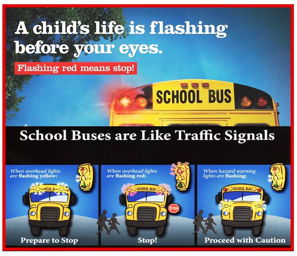 LakeStLouisPD's tweet photo. School will be in session in TWO weeks. The school bus will be back on the roads very soon. Do you know the rules??
#RoadSafety
#SchoolBusSafety
#SchoolInSession
#BacktoSchool https://t.co/VUaRTH1Pm8