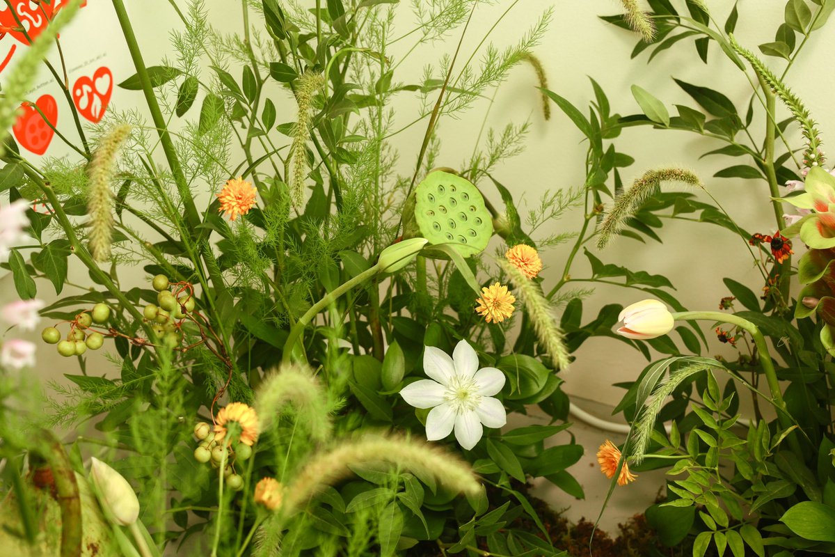 8 / 7
♪ ✤ ♫ ✤ 

2일차 마감했습니다. iloveyou 2023에 놓인 꽃은 매일 조금씩 바뀌고 있습니다. 전시 공간 오른쪽에 꽂힌 피지 않은 튤립이 내일은 어떤 모습일지 기대하며 방문해보세요. 생일 당일인 내일 뵙겠습니다 🌿

#여전히_사랑해_생일축하해_샤오쥔