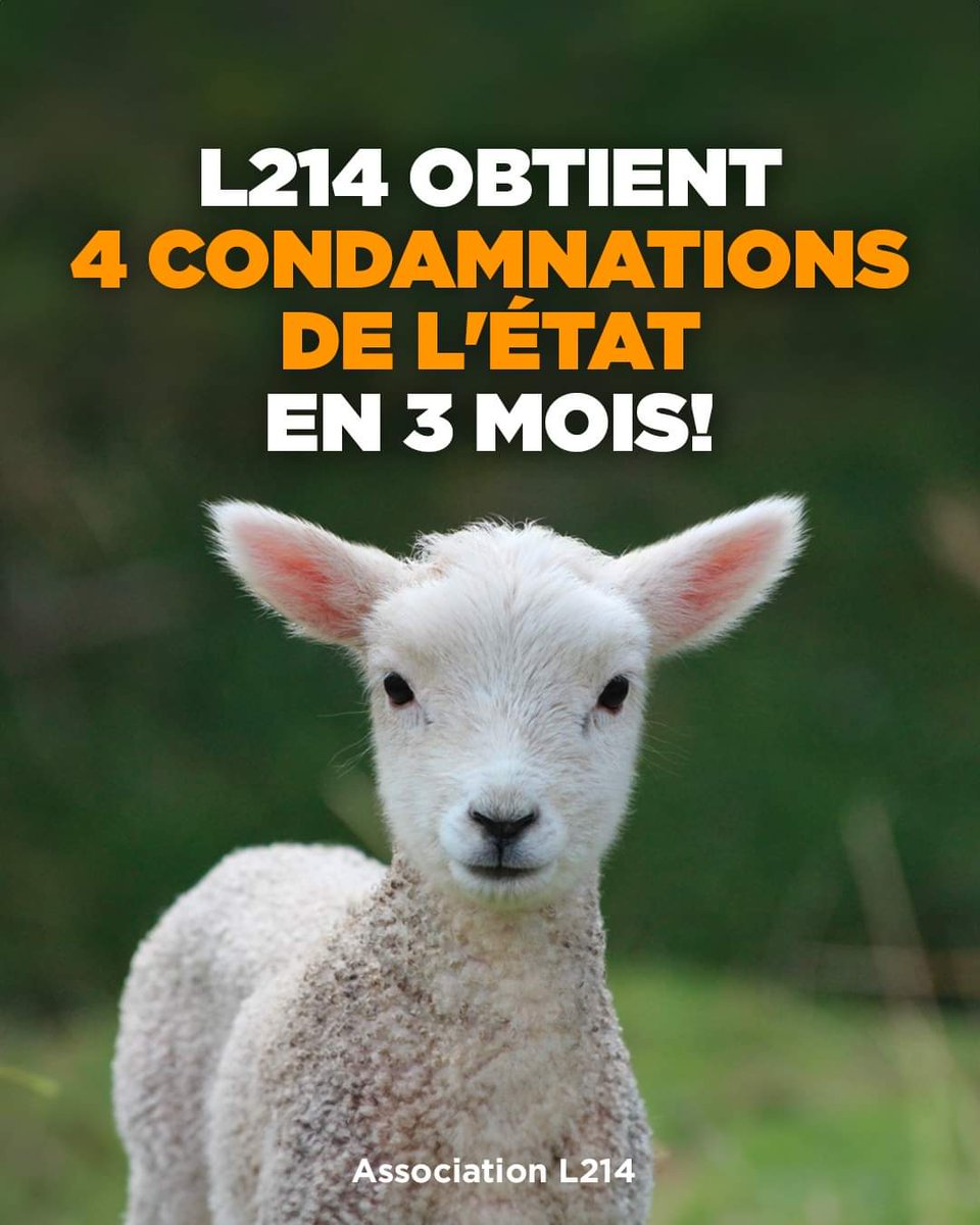 L'Animal est une Personne tweet media