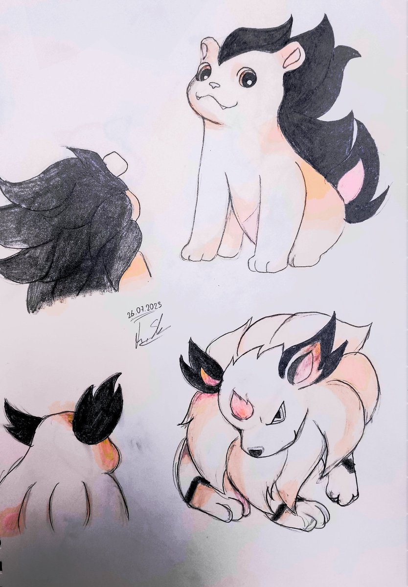 tamashiine's tweet photo. Der moment wenn man endlich fertig wird alle unveröffentlichten Pokemon aus @MythosOfGaming's video zu zeichnen und kaum werde ich fertig schaue ich auf YT. Und sehe ein neues video .^. Ich freue mich darauf.... (Weitere Bilder folgen in den Kommentaren :) ) https://t.co/rdr6YAmi5Z