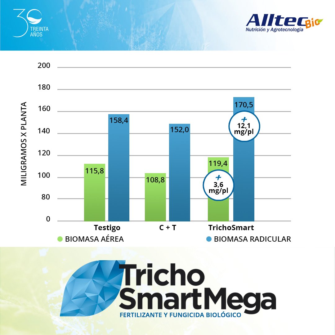 Alltec S.A tweet media
