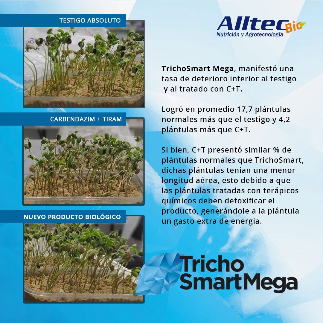 Alltec S.A tweet media