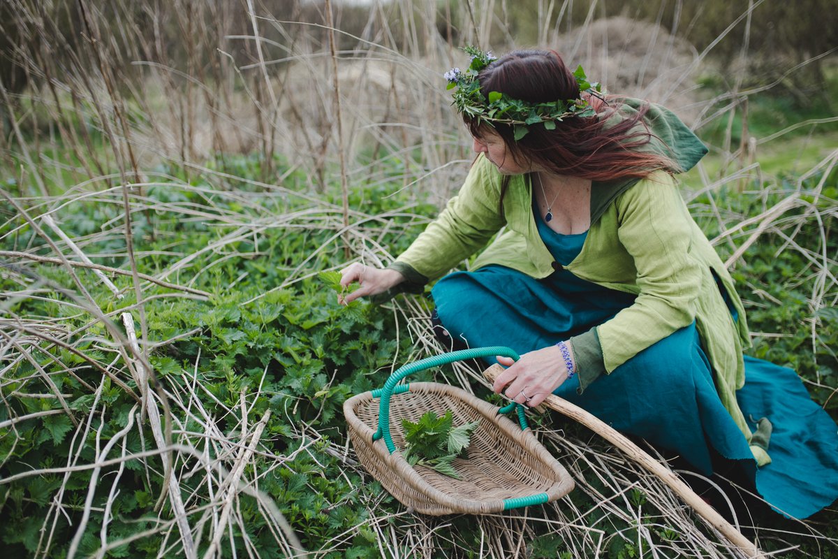 coed_net's tweet photo. This weeks Business of the Week is Spirit of the Hedgerider https://t.co/LROl2iN6wt Jules is a forager &amp; author. She likes helping people to connect to their local landscapes through foraging workshops, teaching people about the edible, useful/magical properties of wild plants. https://t.co/nFBq5vFgpy