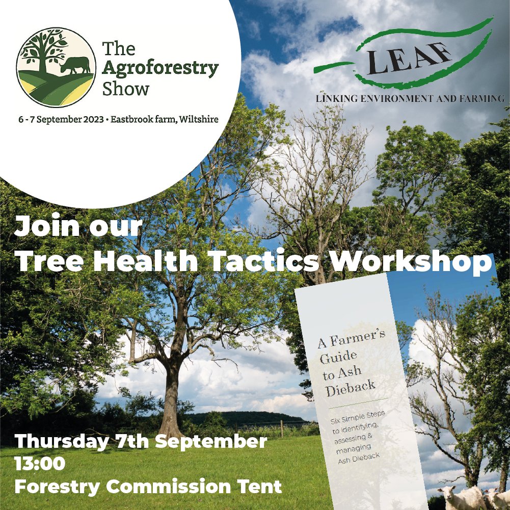 LEAF_Farming's tweet photo. So looking forward The Agroforestry Show! 🌳🍎🐑

Come and find us at the @ForestryComm Tent, for our exciting Tree Health Tactics workshop featuring our very own 'Farmer's Guide to  Ash Dieback!' 👍

#Action4ADB @FeraScience @CRPRExeter @DefraGovUK 
>> https://t.co/ggBqDvQABv https://t.co/xXv4r0EwDW