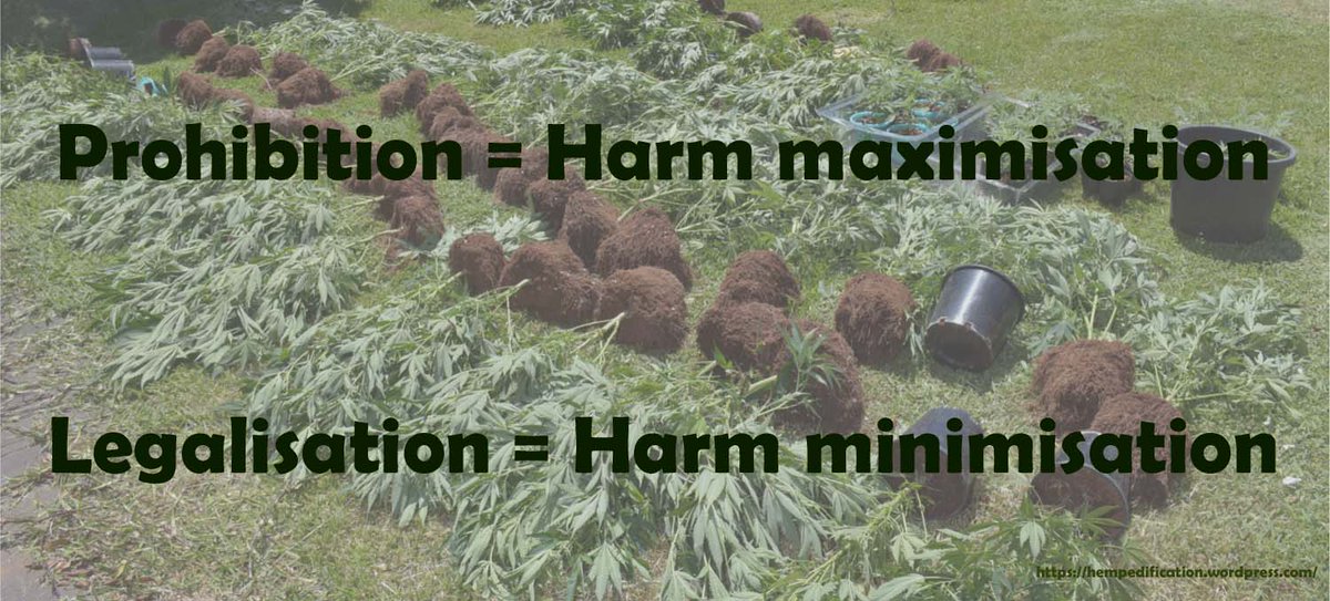 HempEdification's tweet photo. War on drugs, an abject failure worldwide. Millions of taxpayers’ dollars wasted on “harm minimisation” policies that failed to reduce demand or supply &amp; instead created harm. Cannabis offences have ruined the lives of too many young people in Australia. https://t.co/zw8sHfYIFh https://t.co/nBTQUD2fdu