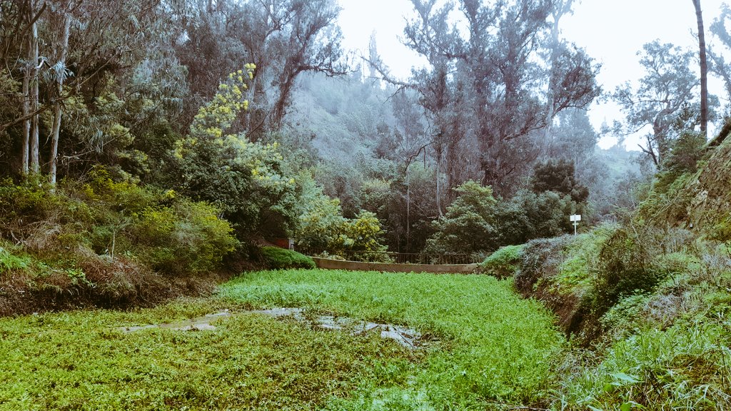 Buenos días y buena semana #ViñaDelMar <a href="/ArtequinVina/">Museo Artequin Viña</a> #Valparaiso #HumedalPiñacha #FelizLunes #QuintaVergara