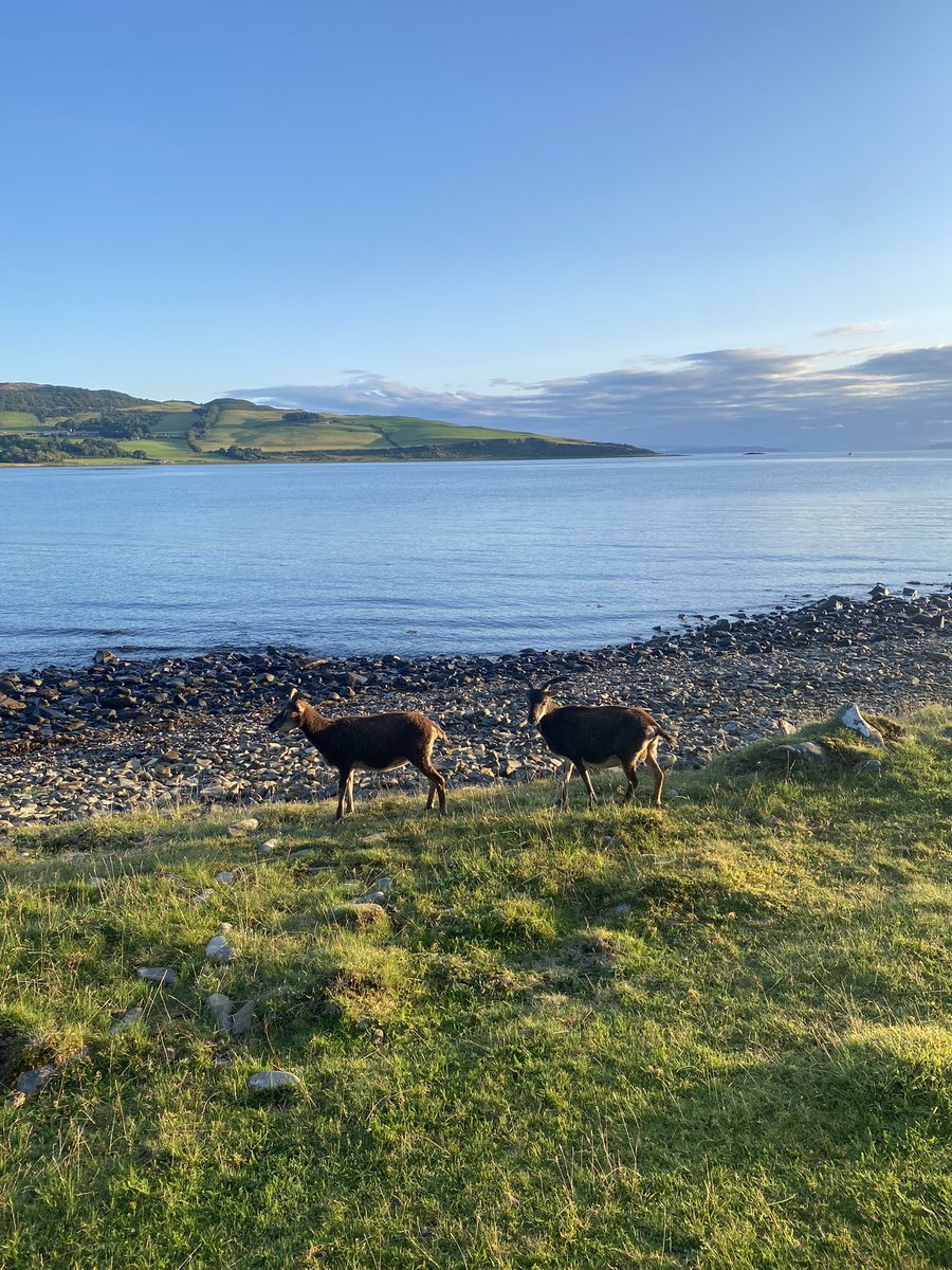 henhowarth's tweet photo. Just spent a beautiful few days retreating on  #HolyIsle a small Scottish island off Arran. It was magical: learning, praying, exploring, being. Thank you Holy Isle! 🙏 https://t.co/fip7aWjM8l