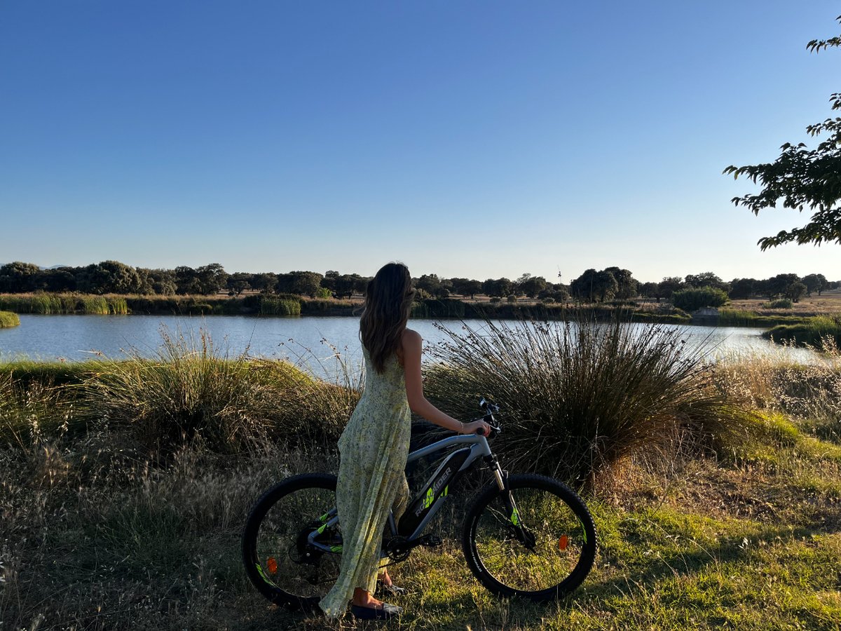 Sobre el pantano puedes ver patos azulones, silvones y  garzas reales entre otras especies #mondaymotivation