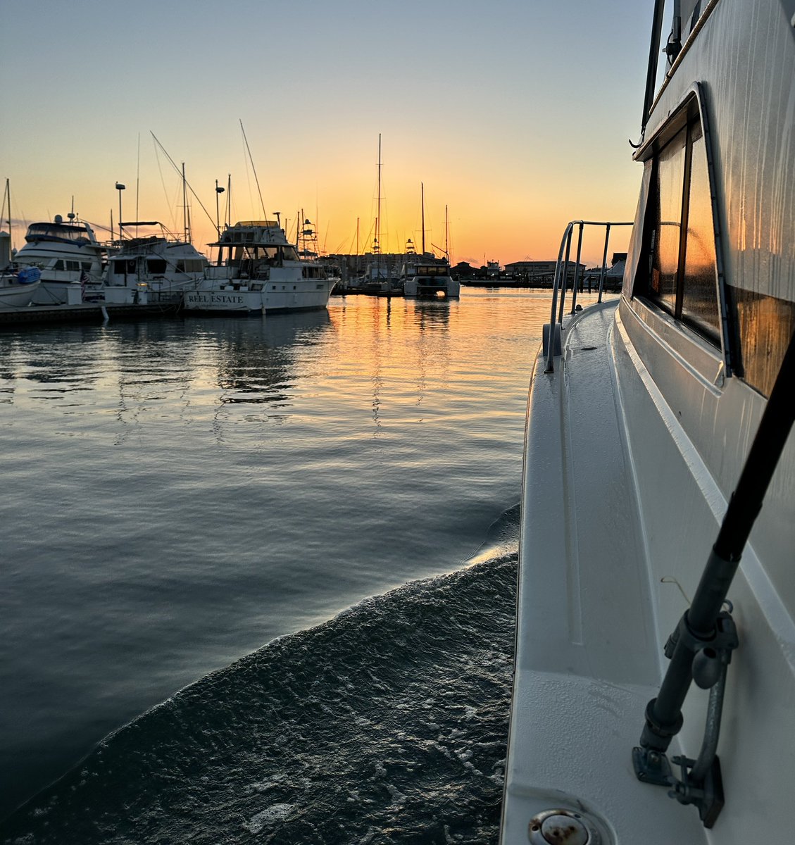 𐌃𐍈𐌵𐌾 𐌄. 𐌋𐌄𐤔𐌆𐍃 🐍 tweet media