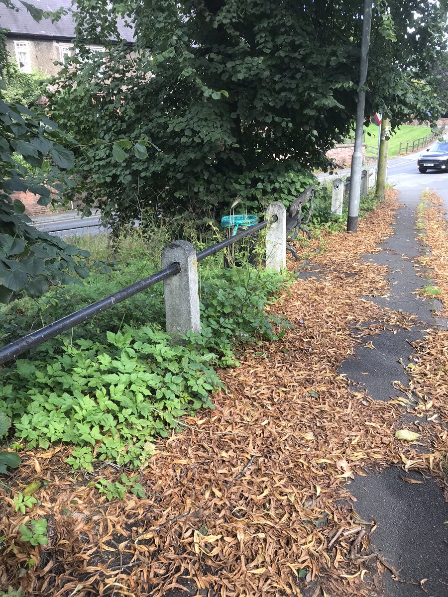 Knutsford Town Ranger tweet media