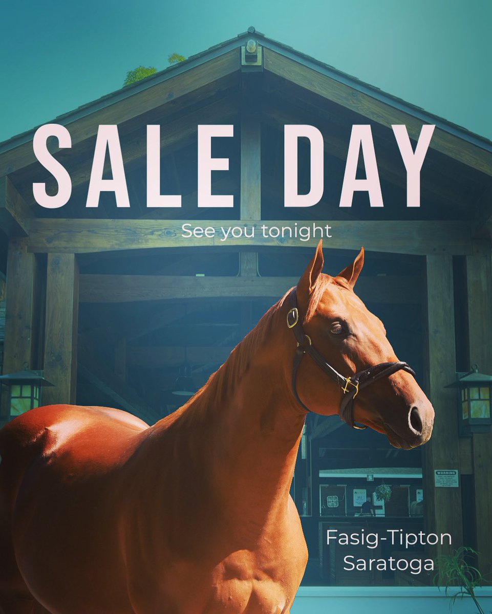 This is the day we’ve all been working towards!

It takes a special yearling to make it to the Saratoga Sale and we are confident in our consignment. 

Good luck to our clients and to the buyers tonight. 

#saturdayafternoonhorses
