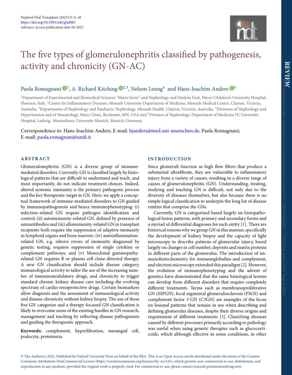 The five types of glomerulonephritis classified by pathogenesis, activity and chronicity (GN-AC) ca. 2023 from @NDTsocial @hjanders_hans #Nephpearls 👉🏼 academic.oup.com/ndt/advance-ar…