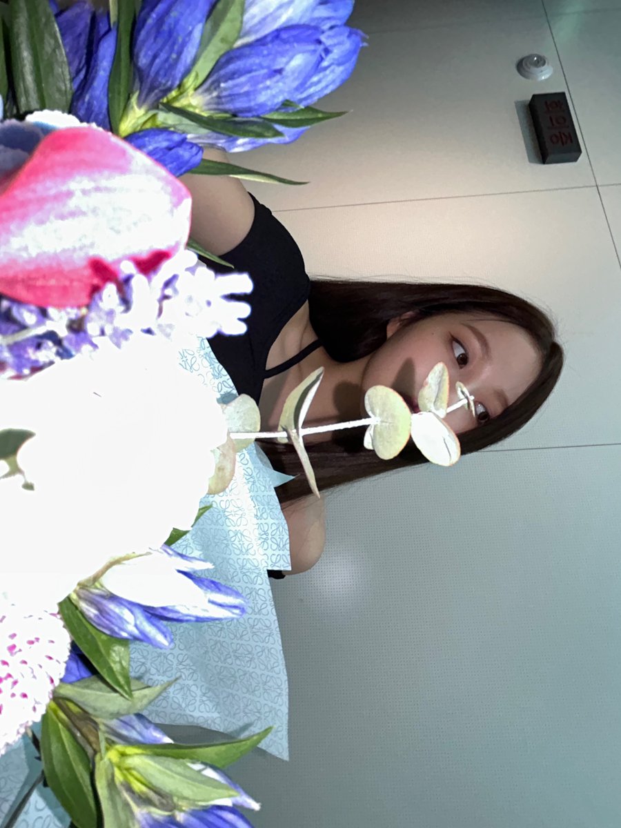 nmixx pics tweet media