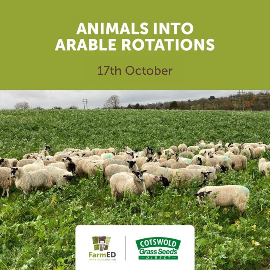 Are you thinking of introducing livestock back into your #arablerotation🌱? Join us as we explore the options &amp; find practical solutions.

We will be joined by <a href="/Nofence_AS/">Nofence</a>, <a href="/RappaFencing/">Rappa</a>, <a href="/niabgroup/">Niab</a> &amp; <a href="/CotswoldSeeds/">Cotswold Seeds</a>.
farm-ed.co.uk/event-details/…

#livestockmanagement #arablemanagement