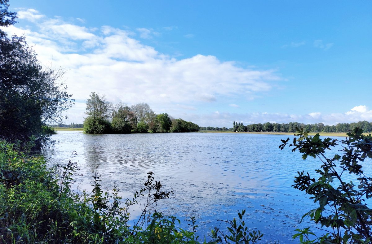 HeijdenJozef's tweet photo. Ook aan het #Schotelven staat het #water weer hoog. Goed voor de watervogels die zich daar hebben gevestigd. #Netersel
@BoswachterFrans @wddommel @waarneming @Brab_Landschap @Sovon @vogelnieuws https://t.co/KMTmSDidN6
