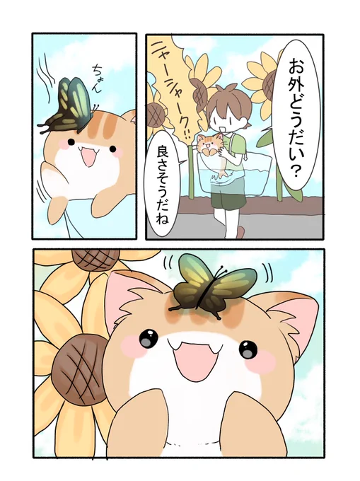 ネコざめさんとお散歩