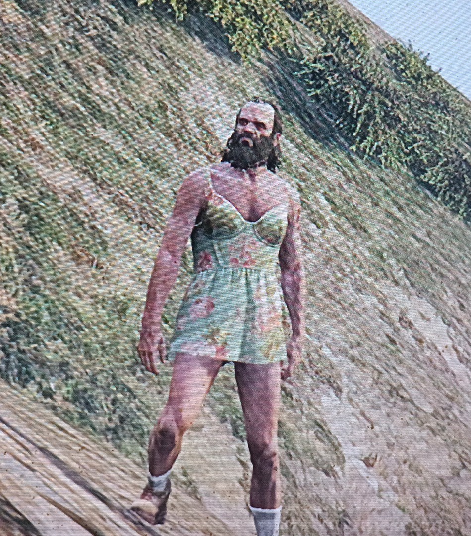 JS7H's tweet image. Mijn therapeutische oplossing tegen de woede: met een jurk aan bovenop een berg gaan staan in GTA V, en een tijdje van t uitzicht genieten.