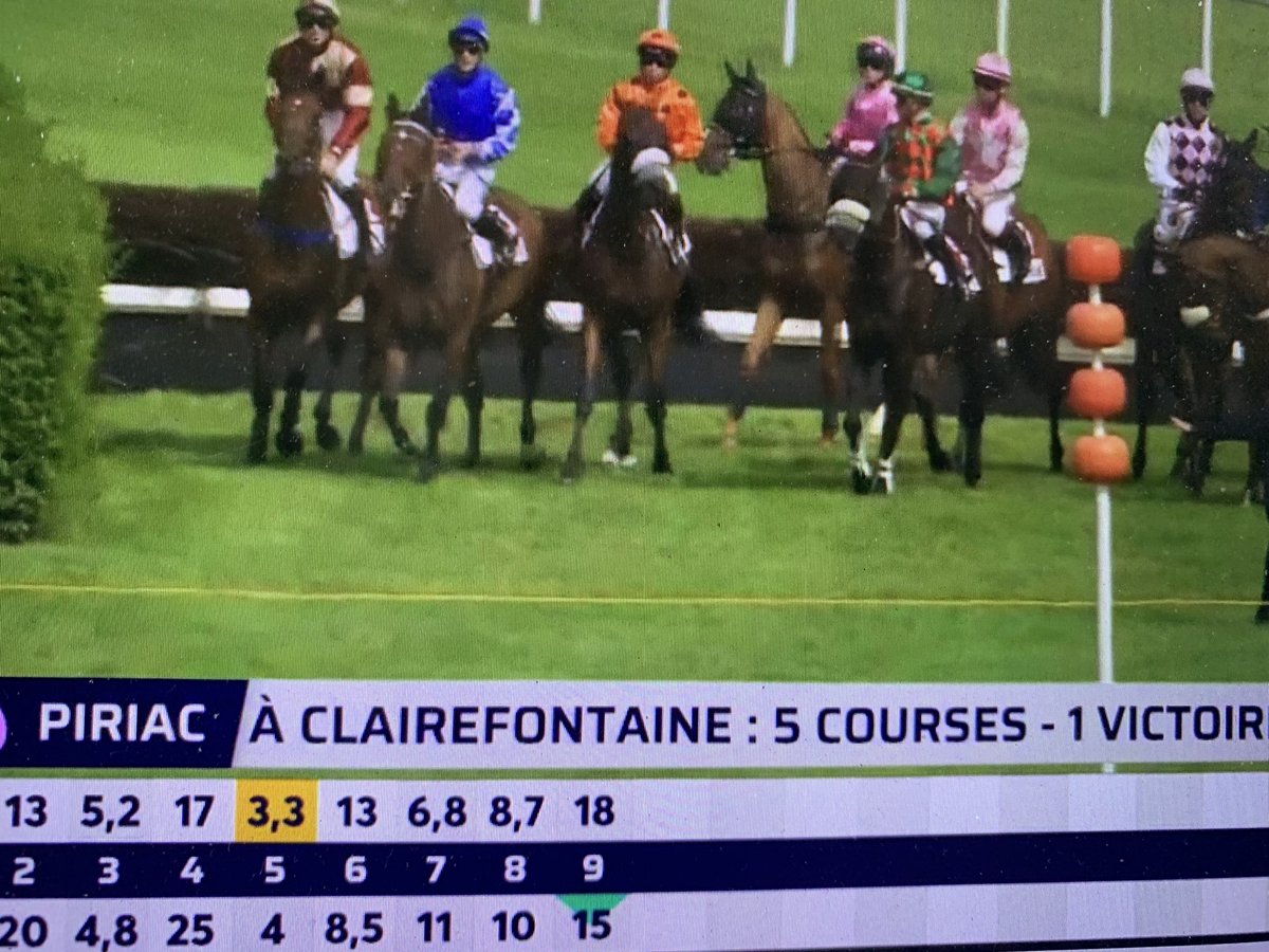 zepipop's tweet photo. Fouin pas confiant au micro pour son cheval 609 qui rentre à 18 mois…

Le scénario habituel. 3eme. A paru moins lourd que prévu 🤔 https://t.co/3o072SvWeL