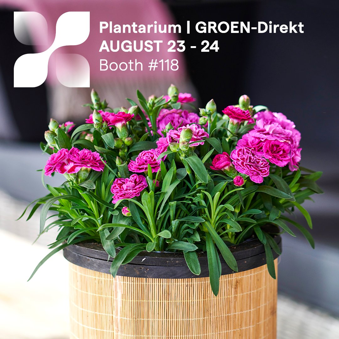 #HilverdaFlorist will again be present at #Plantarium | GROEN-Direkt 2023 in #Boskoop, the Netherlands. During this exhibition we present to you our Pot, Patio &amp; Garden range. Learn all about the possibilities of our #youngplant materials and the right solution for your business.