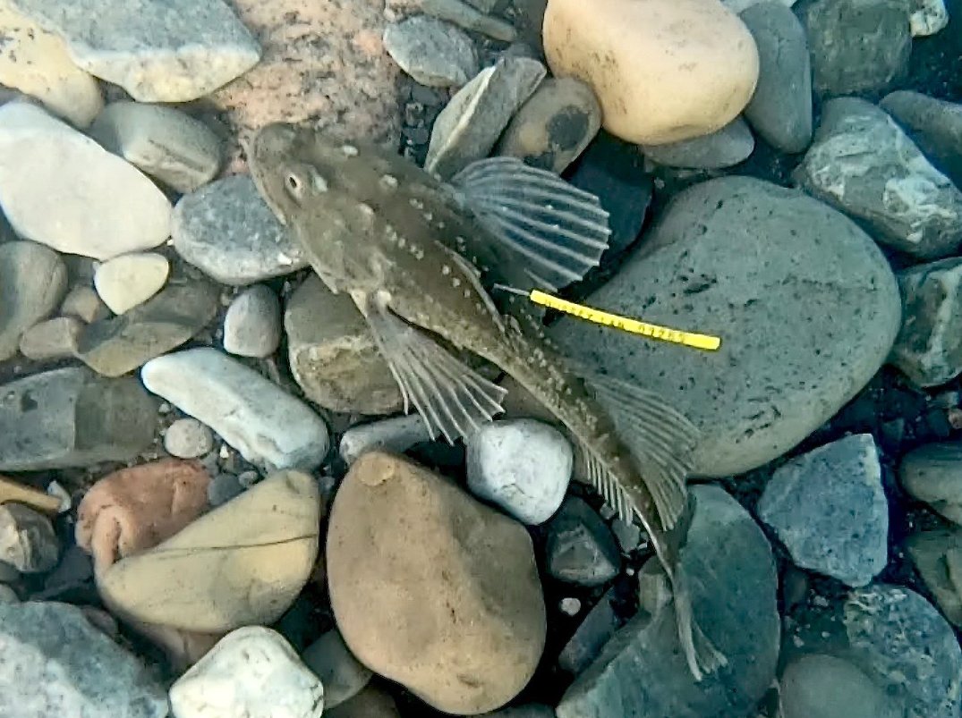 Nathan B Furey tweet media