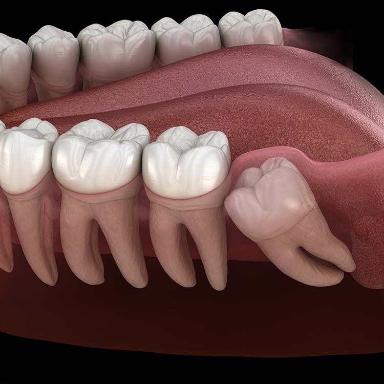 vegastar tweet media