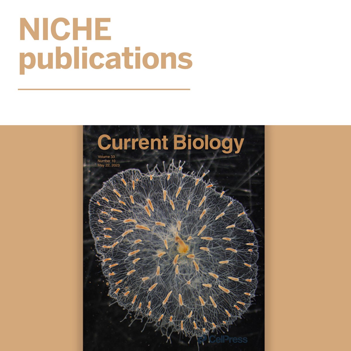 📍Roberta Raffaetà, Associate Professor at Ca' Foscari and part of the Scientific Committee of NICHE, recently published the study 'Maternal and food microbial sources shape the infant microbiome of a rural Ethiopian population'. Excellent paper! bit.ly/44BIlUo