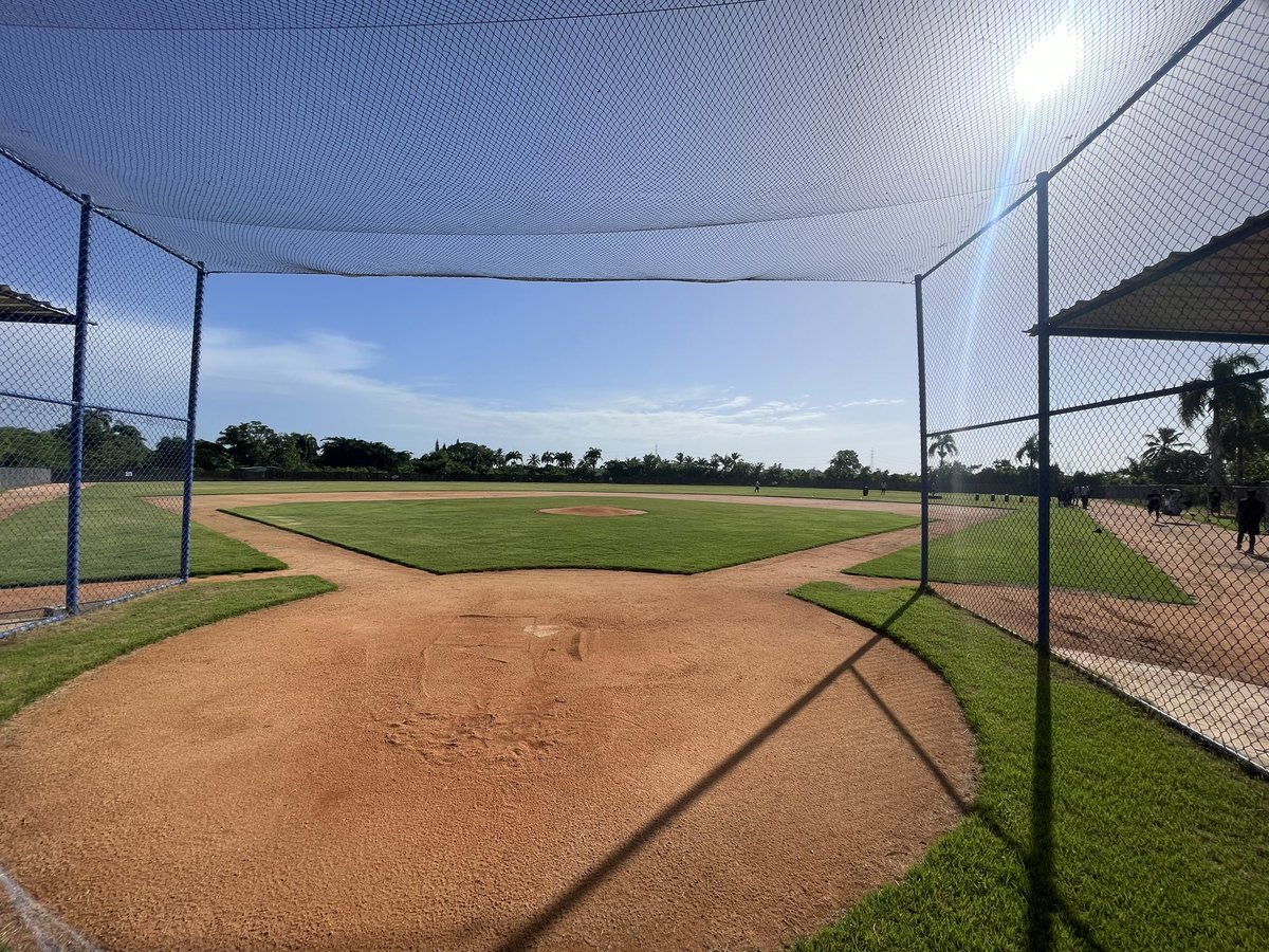 ostrovbaseball's tweet photo. Monday morning office views ☀️⚾️ https://t.co/PStzdYkykQ