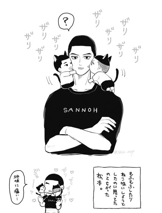 🐈🐈