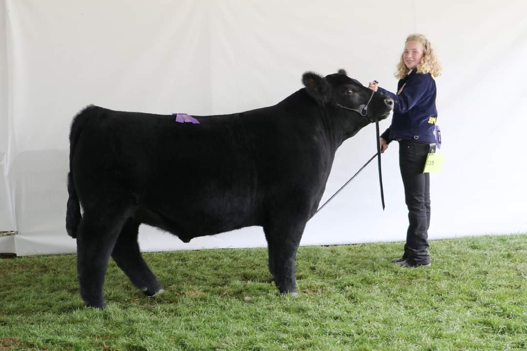 Lay_Farms_Inc's tweet photo. Congrats Dylan Behunin 
Champion Market Beef 
Champion carcass 
WY Uinta Co Fair 
Lo6 2022 sale https://t.co/frBhip6xt2