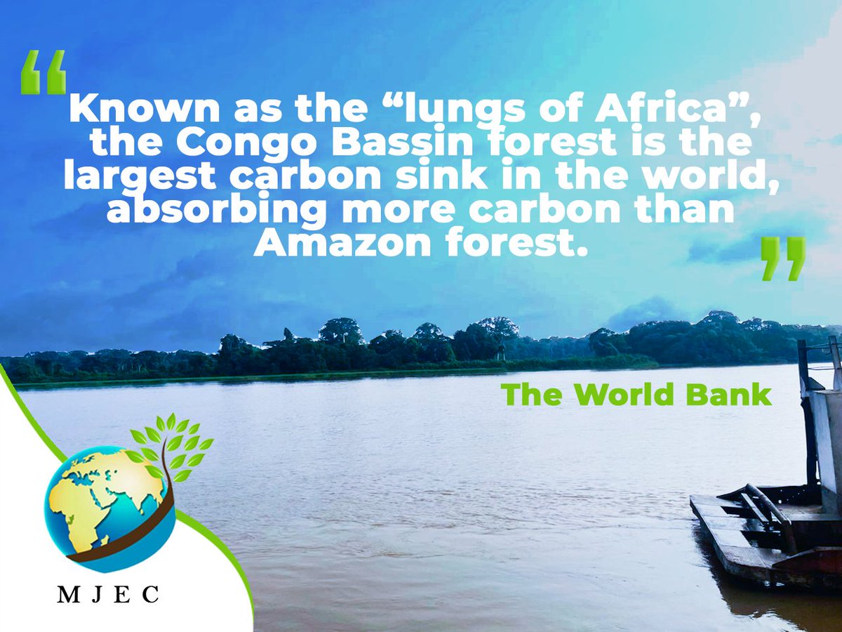 Mjec_242's tweet photo. Connu comme les "poumons de l'Afrique", le bassin du Congo est le plus grand puit de carbonne du monde, absorbant plus de carbone que l'Amazonie.

#MJEC #bassinducongo #unicefcongobrazza #ecology https://t.co/QuMKh875Sg