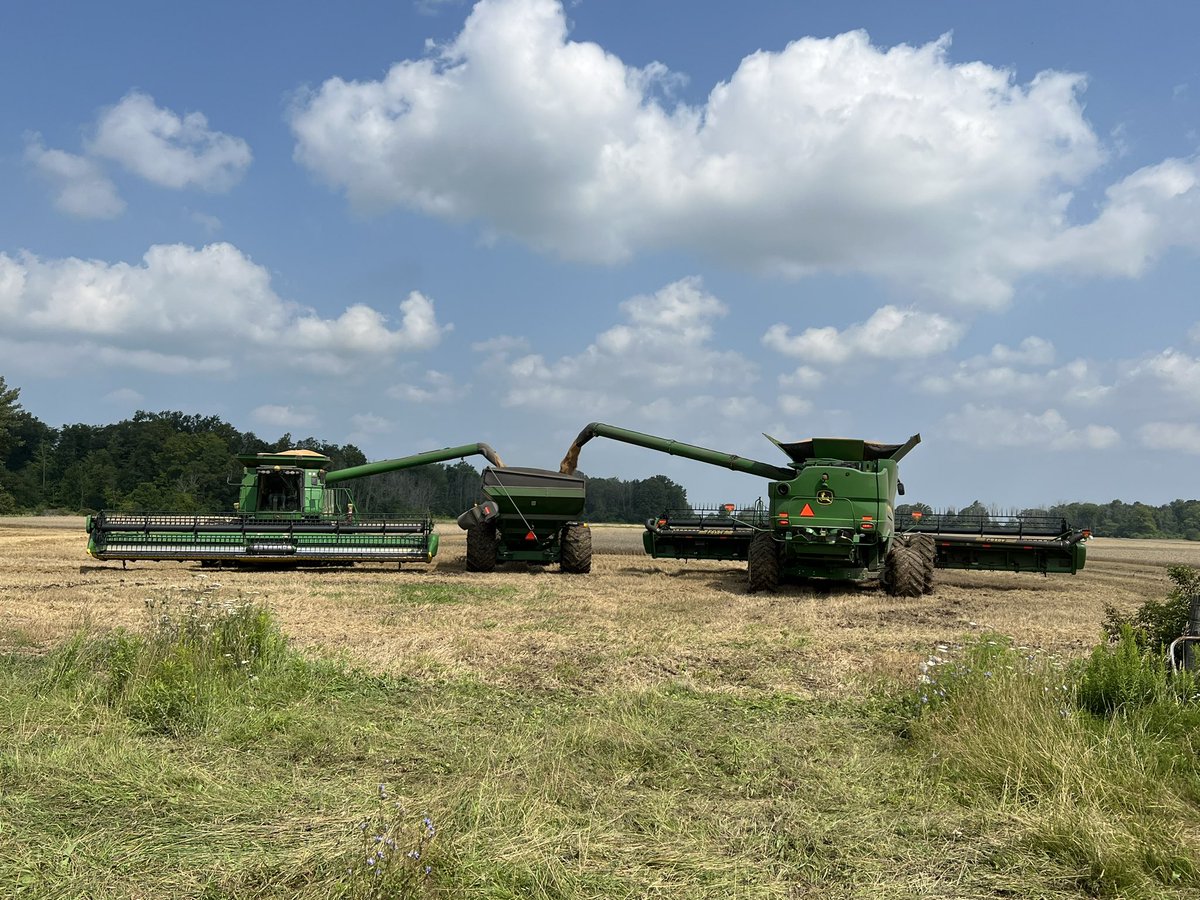 TinkVeri's tweet photo. Wheat 2023 finally in the bins 😎 #flatoutfarmin #ontario https://t.co/89v5ceMq1k