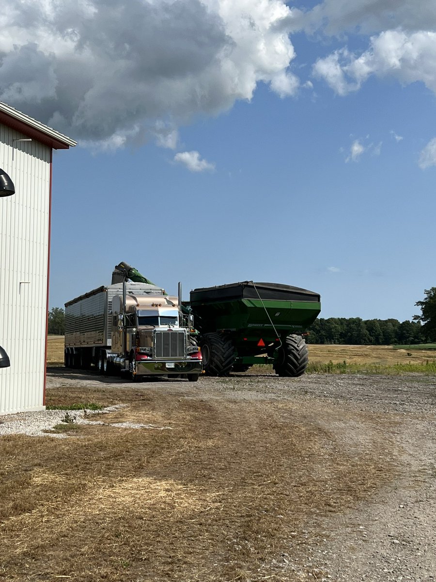 Wheat 2023 finally in the bins 😎 #flatoutfarmin #ontario