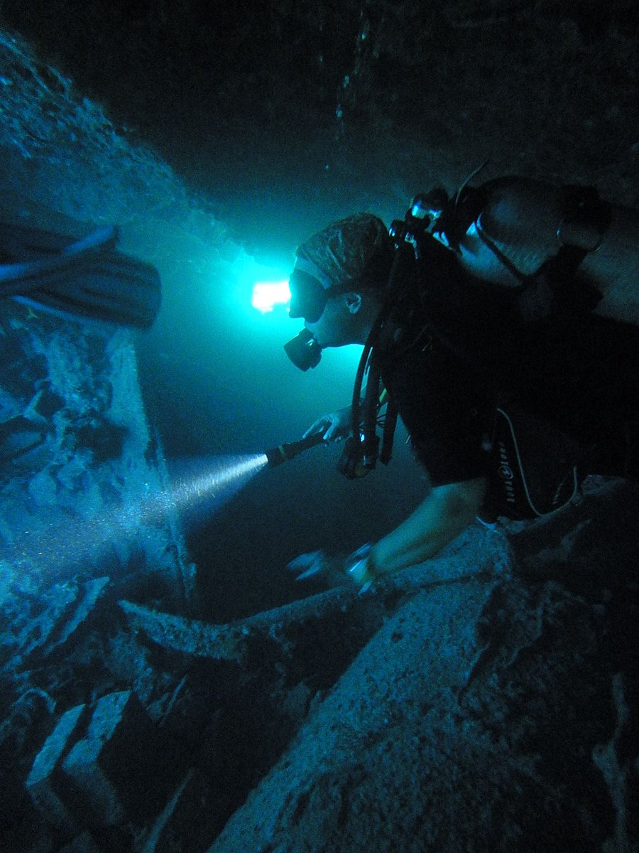 Padi Diver Alberto tweet media