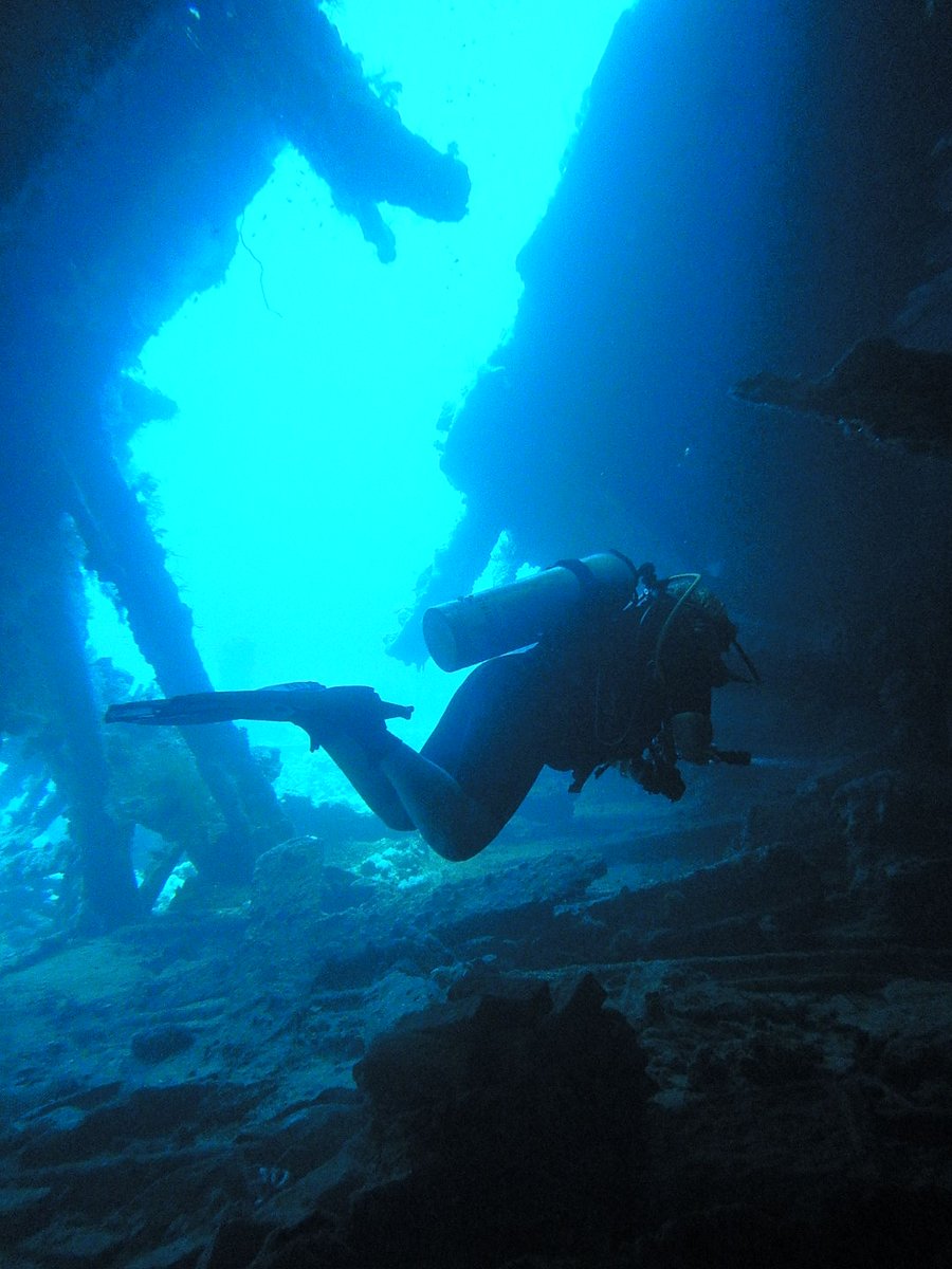Padi Diver Alberto tweet media