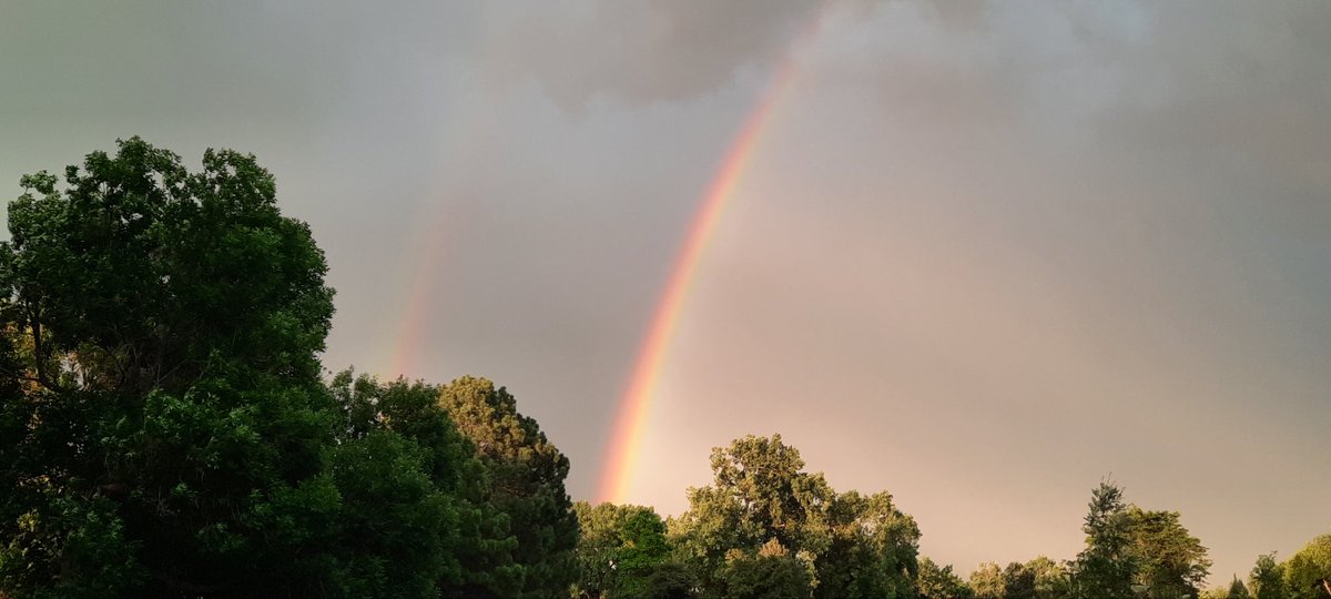 nick manely tweet media