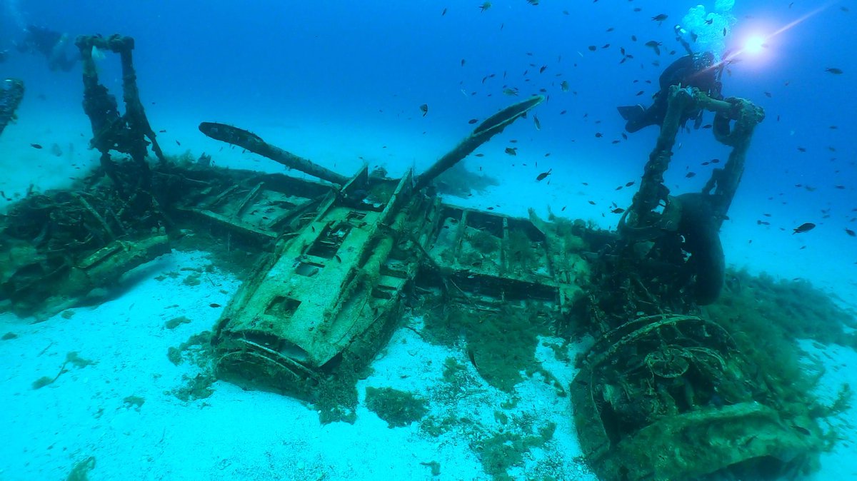 ScubaverseMedia's tweet photo. Have you been diving with Dive on Malta? Rate and review them in the Scubaverse Dive Guide!
https://t.co/KjqQuNWjeF
#scuba #diving #dive #trip #travel #holiday #vacation #StPaulsBay #buggiba #malta #gozo #comino https://t.co/N2HTQ8CkzU