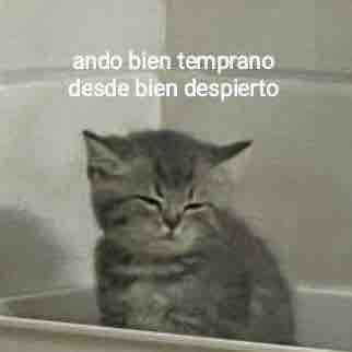 El Guarromántico (@guarromantico_) on Twitter photo 