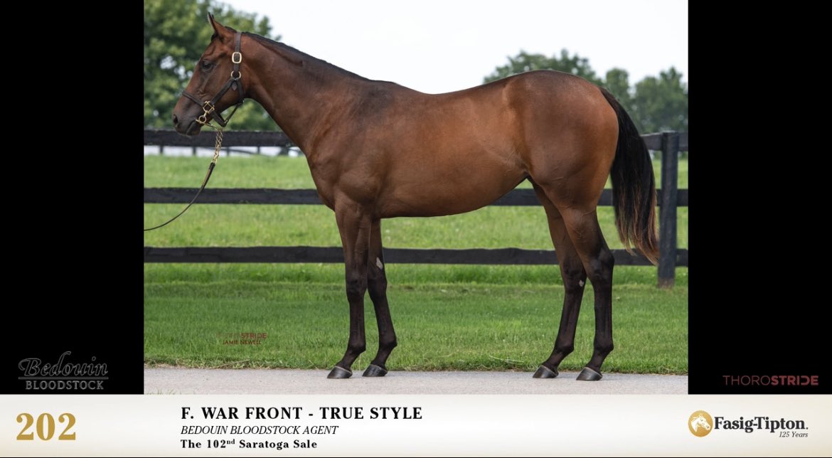 War Front continues to produce lifetime Black-Type horses at an amazing 20%. Hip 202 is the only War Front in the @FasigTiptonCo and sells with Bedouin on Tuesday night.