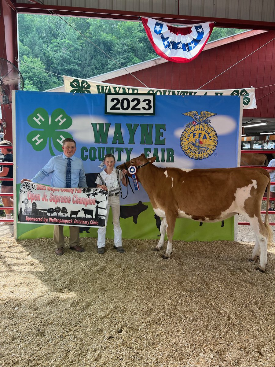 MidValleySD's tweet photo. Congratulations to Mid Valley 5th Grade Student Arianna Mina for winning Jr. Supreme for Open Show / 4H / FFA Champion at the Wayne County Fair! https://t.co/nTb1udEoWg