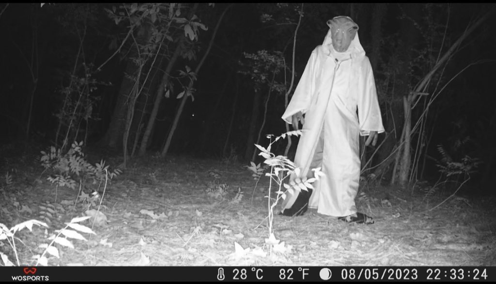 samebasket's tweet photo. This terrified my mom but sometimes that’s the cost of a poorly formatted SD card https://t.co/TRaWMXvMgY