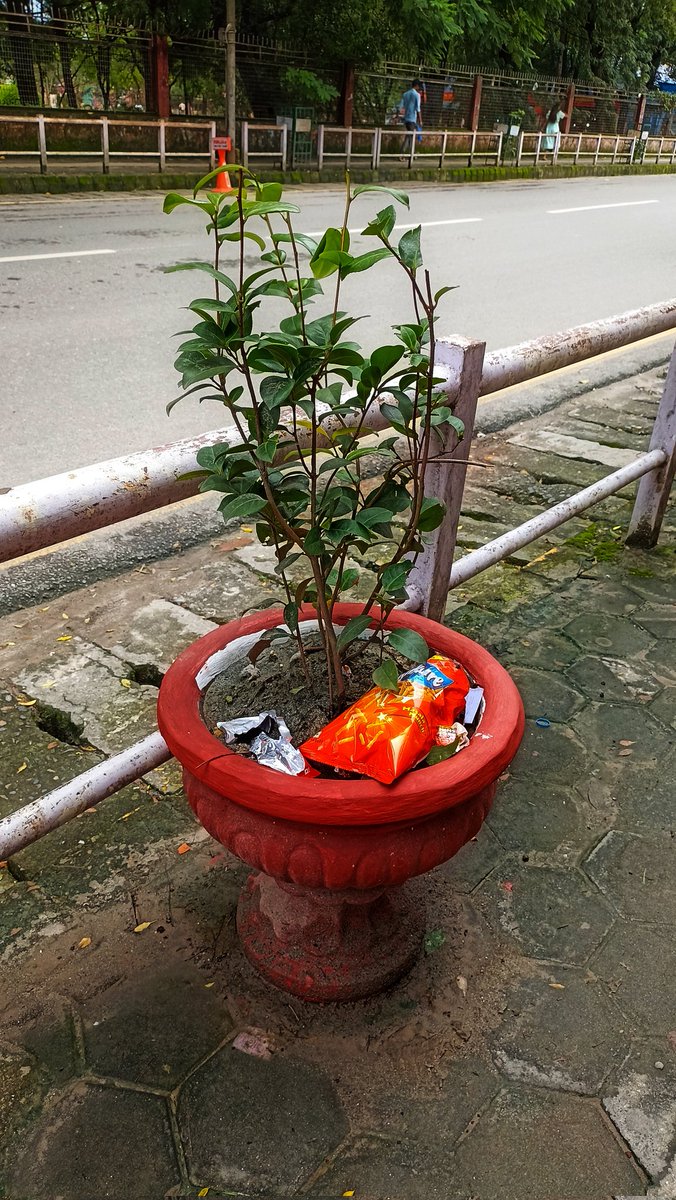 Exhibition Roadमा हरियाली बढाउनका लागि राखिएको गमलाहरुलाई‌ जनताले dustbin treatment दिएपछि 🤦🏻‍♀️...
बालेनलाई सहर राम्रो बनाउनै देलान् जस्तो लागेन।
#photooftheday