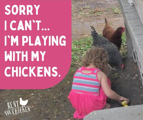 RentTheChicken's tweet photo. It's one of those days at the homestead!
https://t.co/imRyePp3il
#Chickens #Kids #KidsEducation #STEM #Education #School #FreshEggs #SustainableAgriculture #PlayingInTheDirt #PlayingWithChickens #BackyardChickens #BackyardHens https://t.co/BuKVnJjlLA