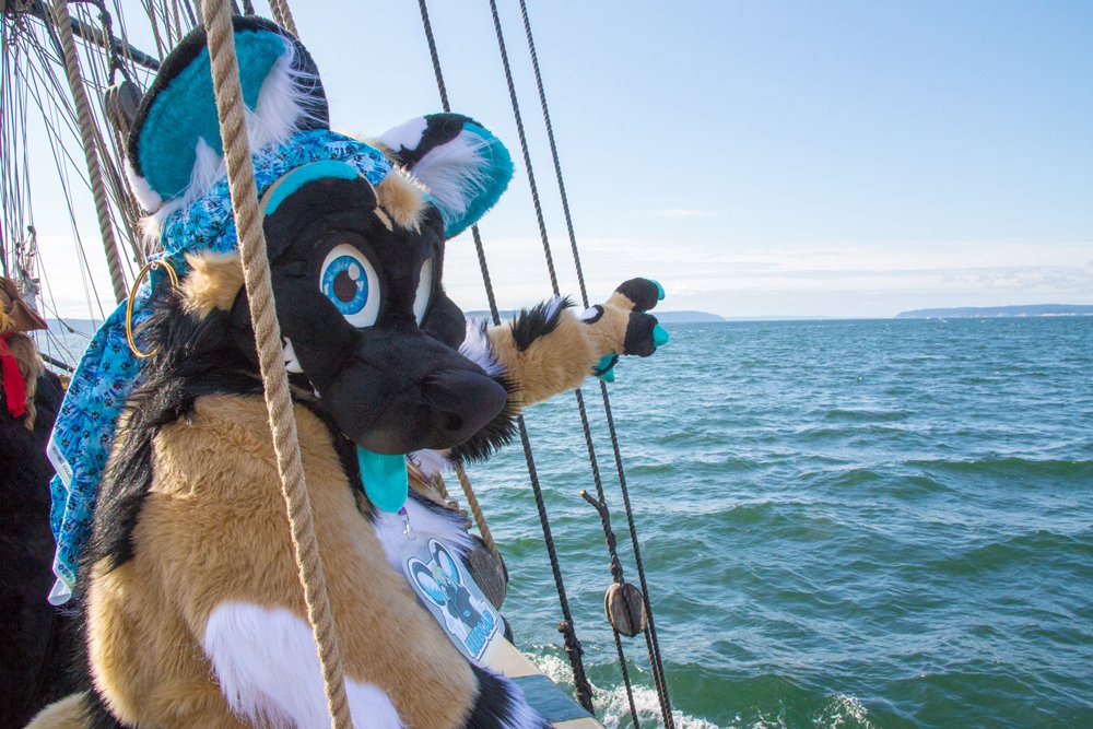 I cant believe its been 5 years today that this silly Pile of fluff and foam showed up on my door. So many crazy memories and wonderful adventures! I cant thank
<a href="/MoreFurLess/">More Fur Less</a> enough for creating this amazing work of art. 

#MoreFurLessMonday