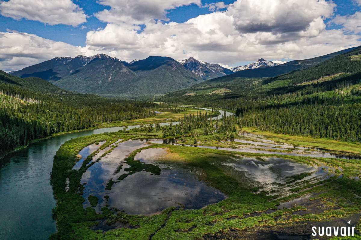 Happy BC Day! Getting outdoors to celebrate under the sunshine and by the lake, river, or mountains  sounds pretty perfect today.  Photo Location:  Adams River Floodplain.