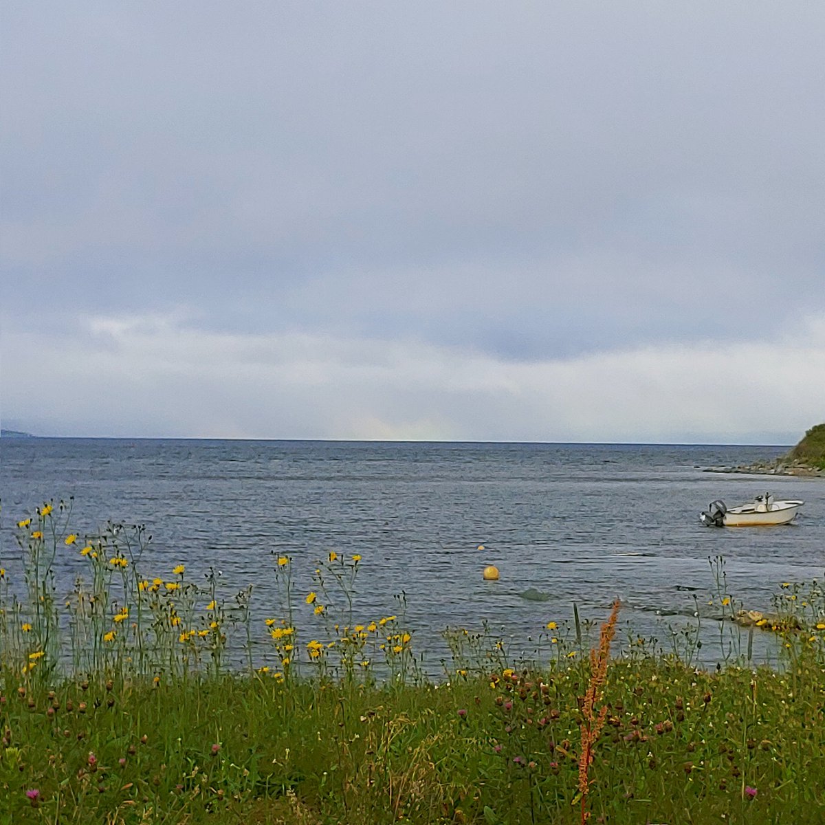 kara2816's tweet photo. Sun shining through the fog &amp; drizzle giving a rainbow type cloud on the horizon. New Harbour, NL @EddieSheerr #nlwx https://t.co/PIuRHoBuCA