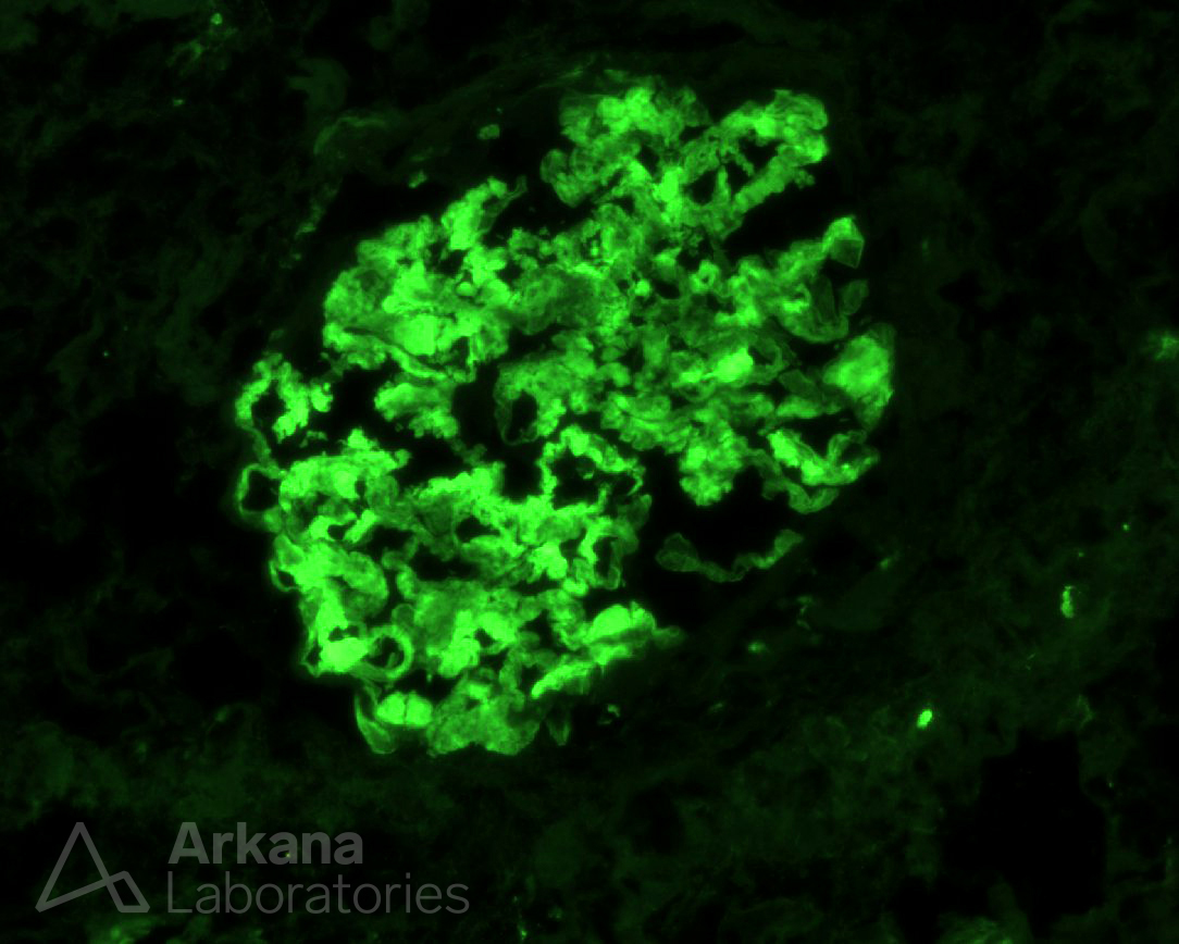 Arkana Laboratories tweet media